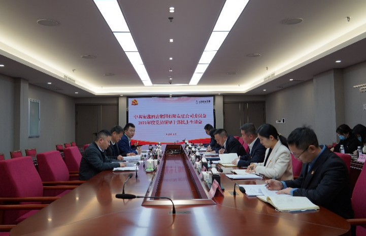 尊龙凯时集团党委书记、董事长任丁出席安逸酒店集团2022年度党员领导干部民主生活会